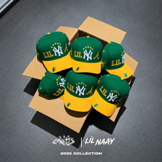 Mood Brazil - Snapback